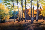 Douglas Aagard - Evening Colors - oil on canvas - 40 x 60