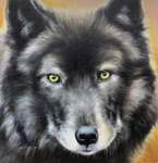 Nancy Andresen - Black Wolf - oil on panel - 8x8