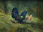 Michael Coleman - Capercaillies - oil on canvas - 12 x 16