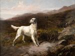 George Earl - Setter on the Moor - oil on canvas - 30 x 40