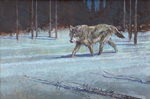 Dennis Anderson - Lone Wolf - oil on canvas - 24 x 36