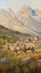 Grant Hacking - Big Horns at Treeline - oil on canvas - 56 x 32
