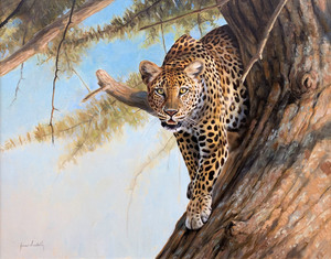 Grant Hacking - In the Great Acacia - oil on canvas - 24 x 30