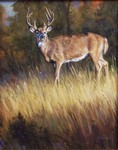Grant Hacking - Confident Buck - oil on canvas - 20 x 16