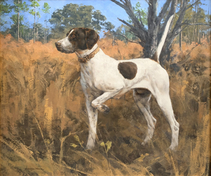 Eldridge Hardie - Pointer Dog - oil on canvas - 20 x 24