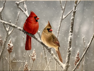 James Hautman - Winter Cardinals - acrylic - 11 x 14