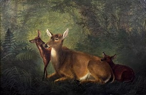 William Hays - Doe with Two Fawns - oil on canvas - 8 x 12 inches
