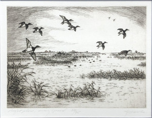 Geoffrey Lasko - Right Place, Wing Spread - etching/drypoint - 10 x 12.75