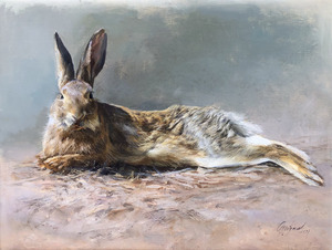 Miguel Angel Moraleda - Resting Rabbit - oil on linen - 12 x 16