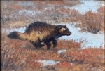 Ralph Oberg - Tundra Runner - oil on linen - 9 x 12