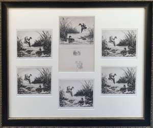 Federal Duck Stamp Drawing and Etching Trial Proofs (1-5)