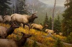 Kyle Sims - High Country Scramble - oil on canvas - 32 x 48