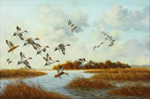 William Tyner - Pintails - oil on canvas - 24 x 36
