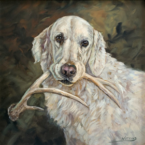 Peggy Watkins - Golden with Shed - oil on linen - 20 x 20