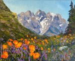 Garth Williams - Orange Poppies - oil on canvas - 24x30