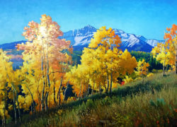 Douglas Aagard-wilson mesa-art-colorado-aspens-aspen tree-oil painting-painting-gallery-nature-mountain-nature scenes-meadow-beaver creek-arts festival