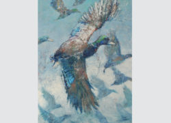 Susan Easton-gallery-art-art gallery-bird-duck-painting-acrylic paint-ducks-southern-sporting-fowl