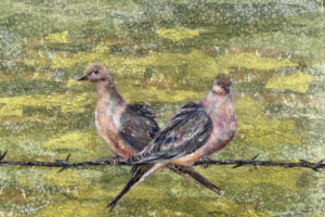 Laura Adams - Mourning Dove and Barbed Wire, mixed media, 18 x 24