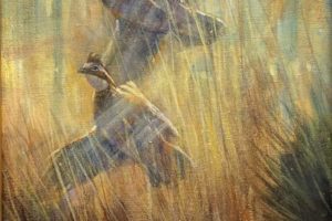 Rod Crossman - Fields of Gold, oil on canvas 14 x 11