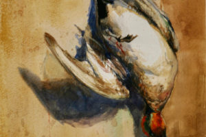 Luke Frazier - Green Wing Teal, watercolor, 10.5 x 7.5