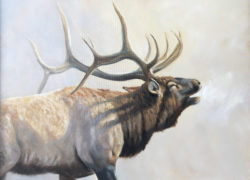 Grant Hacking-sporting art-art-sporting-hunting-elk-bull elk-animal-wildlife-painting-oil paint
