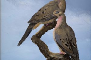 C. Ford Riley - Mourning Dove, oil on panel, 16 x 12