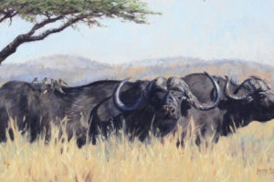 Lindsay Scott, Ndaba, Oil on canvas, 18 x 35