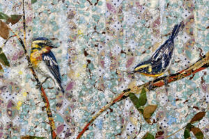 Warblers In The Treetops, Blackburnian Pair, 20 x 16