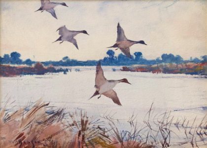 Frank W. Benson - Pintails in Flight, watercolor, 14 5/8 x 19 7/8