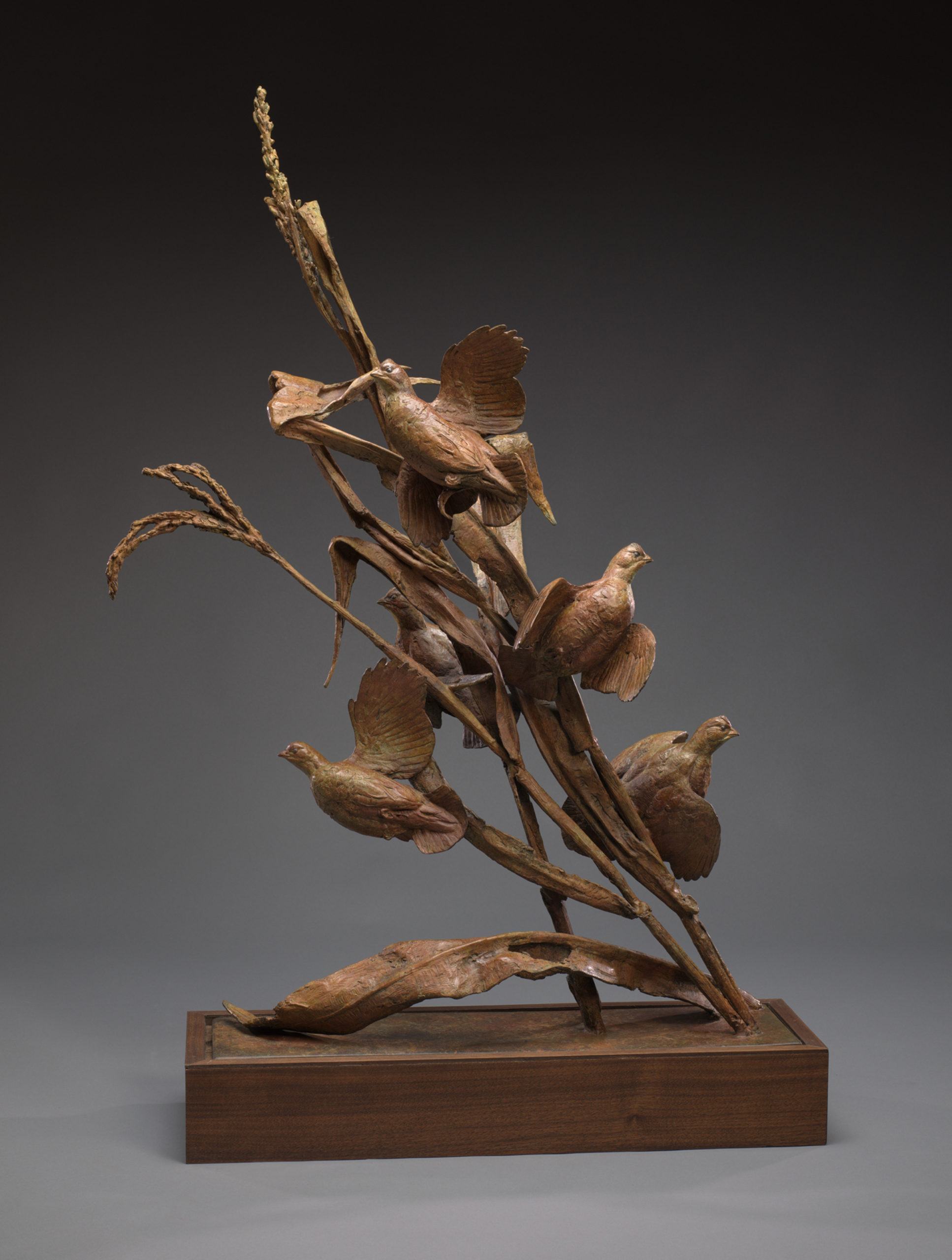 Walter Matia - Noon Quail, bronze, 41 x 25 x 8.5