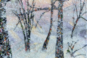 Laura Adams Snowy Forest