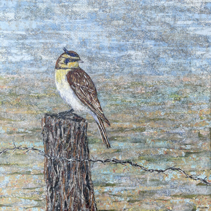 laura adams-horned lark-bird-collage-cut paper-birds-wildlife-art-collage artist-art-gallery-fine art-art gallery-four directions