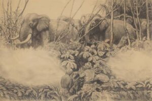 Lynn Bogue Hunt - Elephant Illustration, graphite, 18.5 x 28