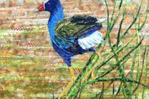 Laura Adams - Purple Gallinule, paper collage on wrapped canvas, 24 x 24