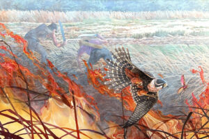 vankempen-falcon-fire-painting-art-gallery-sporting-hunting-bird-animal