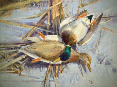 Jim Morgan-On Ice-nature-oil painting-mallard ducks-ducks-waterfowl-waterfowling-sporting-sporting art-hunting-art gallery-paderewski fine art-the sportsmans gallery