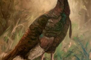 Peggy Watkins-turkey-oil painting-painting-turkey hunting-turkey season-sporting-sporting art-wildlife-art gallery-turkey grand slam show